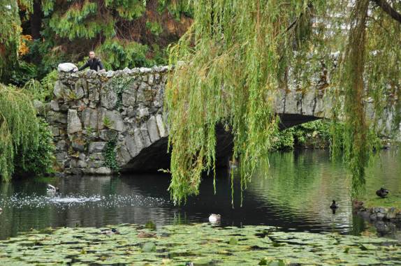 Passeio no belo Beacon Hill Park, em Victoria, capital da British Columbia, no oeste do Canadá